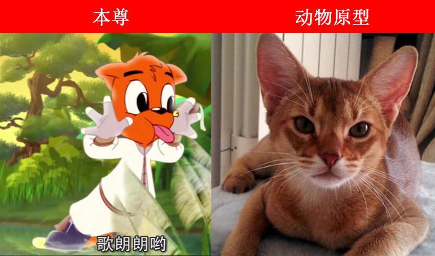 虹猫蓝兔七侠传角色的动物原型，大奔是北极熊，跳跳和孙悟空一样