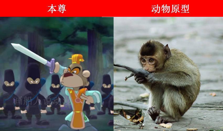 虹猫蓝兔七侠传角色的动物原型，大奔是北极熊，跳跳和孙悟空一样