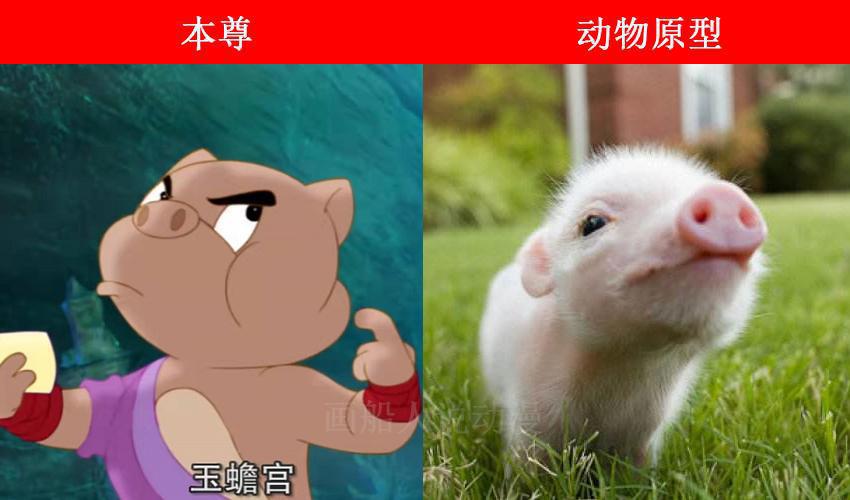 虹猫蓝兔七侠传角色的动物原型，大奔是北极熊，跳跳和孙悟空一样