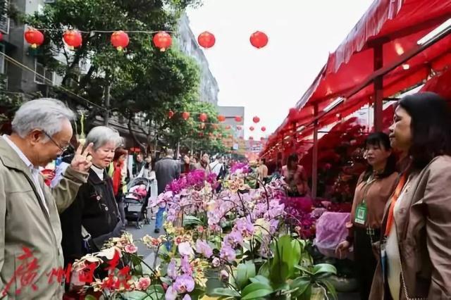 广州花市开锣啦！亮点太太太太多了！这些护花大咖说……