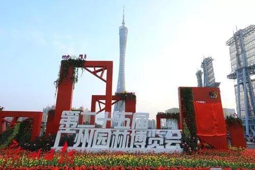 广州花市开锣啦！亮点太太太太多了！这些护花大咖说……