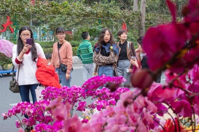 广州花市开锣啦！亮点太太太太多了！这些护花大咖说……