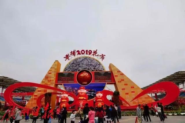 广州花市开锣啦！亮点太太太太多了！这些护花大咖说……