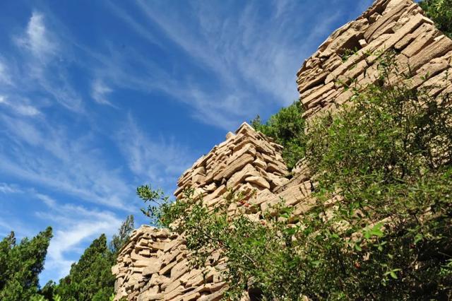 中秋佳节去哪玩？济南这些限定款活动你一定要知道！
