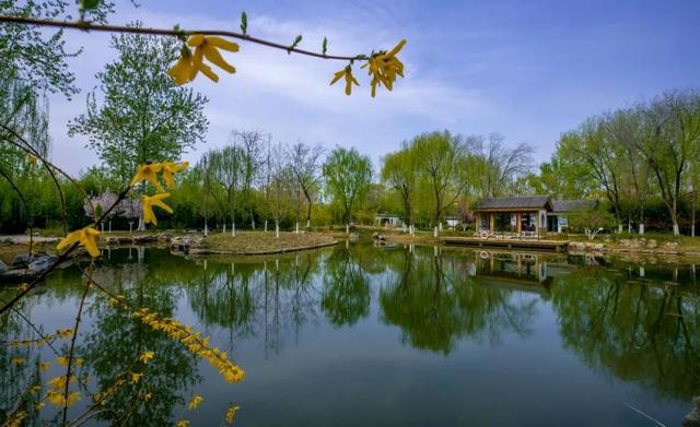 中秋佳节去哪玩？济南这些限定款活动你一定要知道！