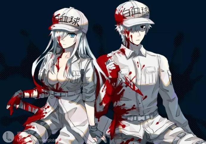 《摇曳露营》和《工作细胞》入围白玉兰奖，网友表示没有番外差评