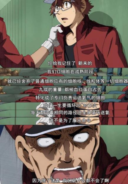 《摇曳露营》和《工作细胞》入围白玉兰奖，网友表示没有番外差评