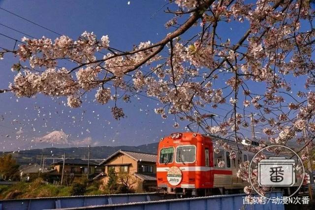 摇曳露营八千万！由动画所带来的现实意义可不能小看哦