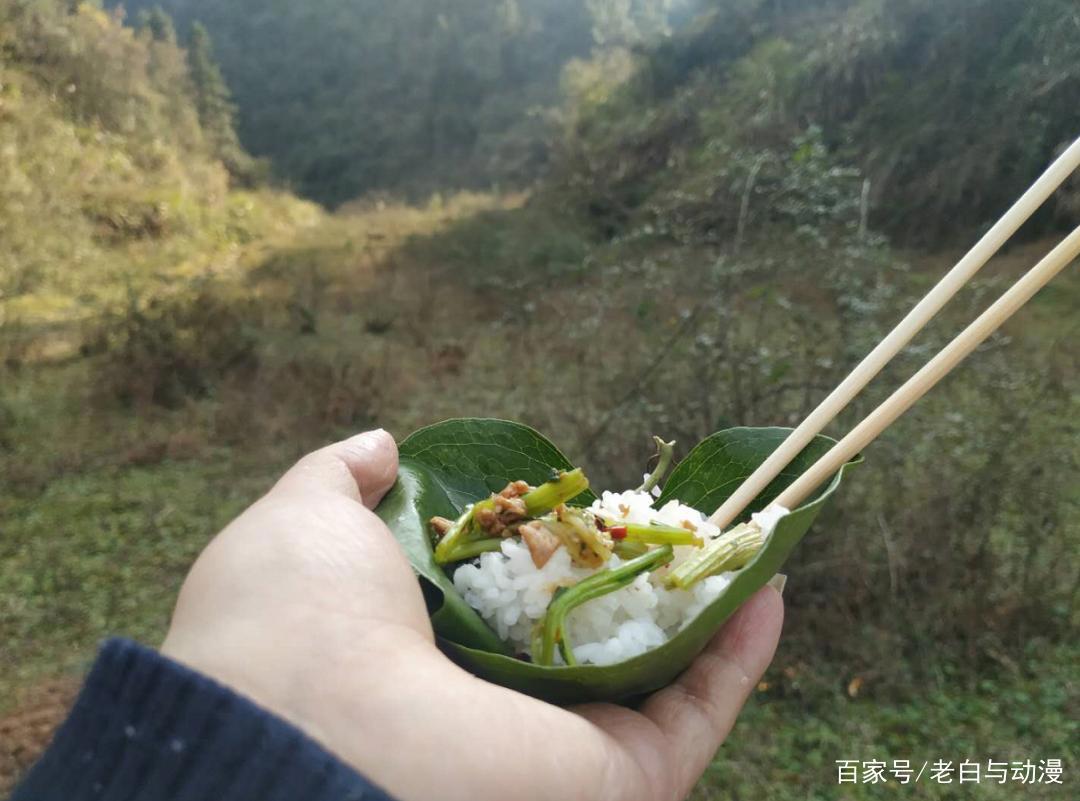 《摇曳露营△》第二季PV公布，凛酱和抚子回归，露营开始了！