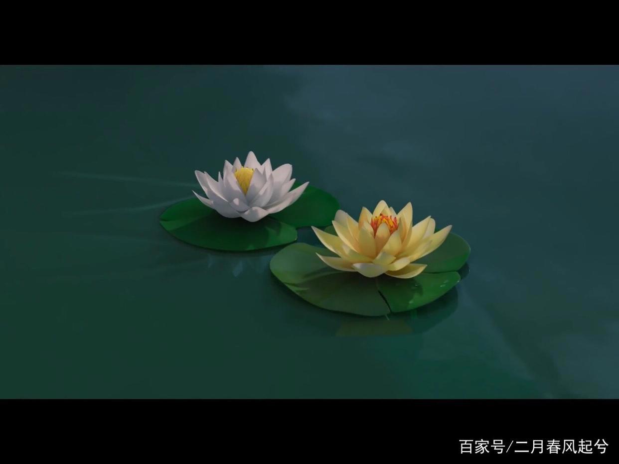 放下过去，重新去爱？《飞奔去月球》笑泪交织与治愈系的动画电影