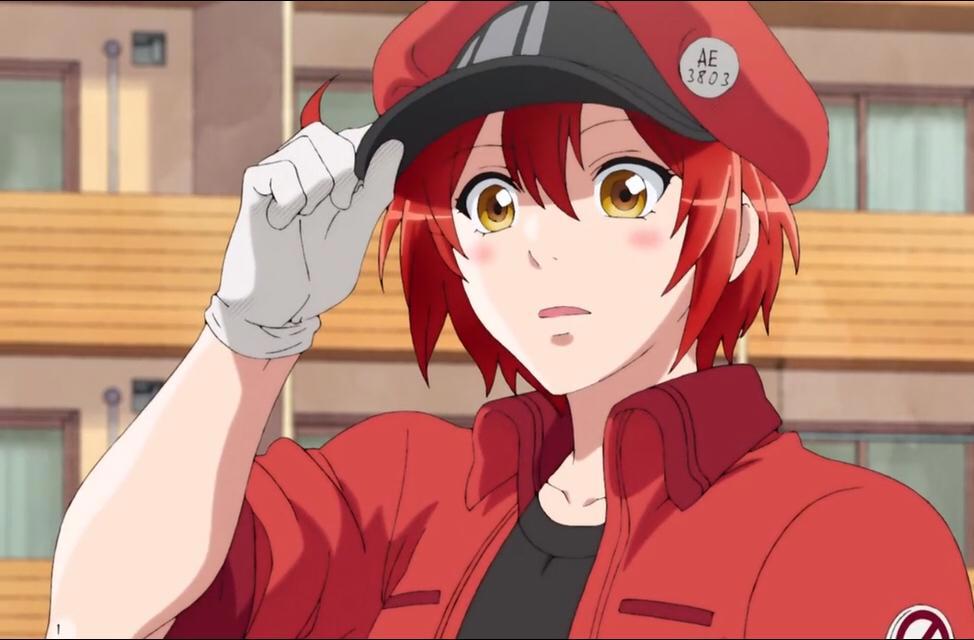 堀与宫村：B站排名第三，却没有人议论，难道动画还不够优秀？