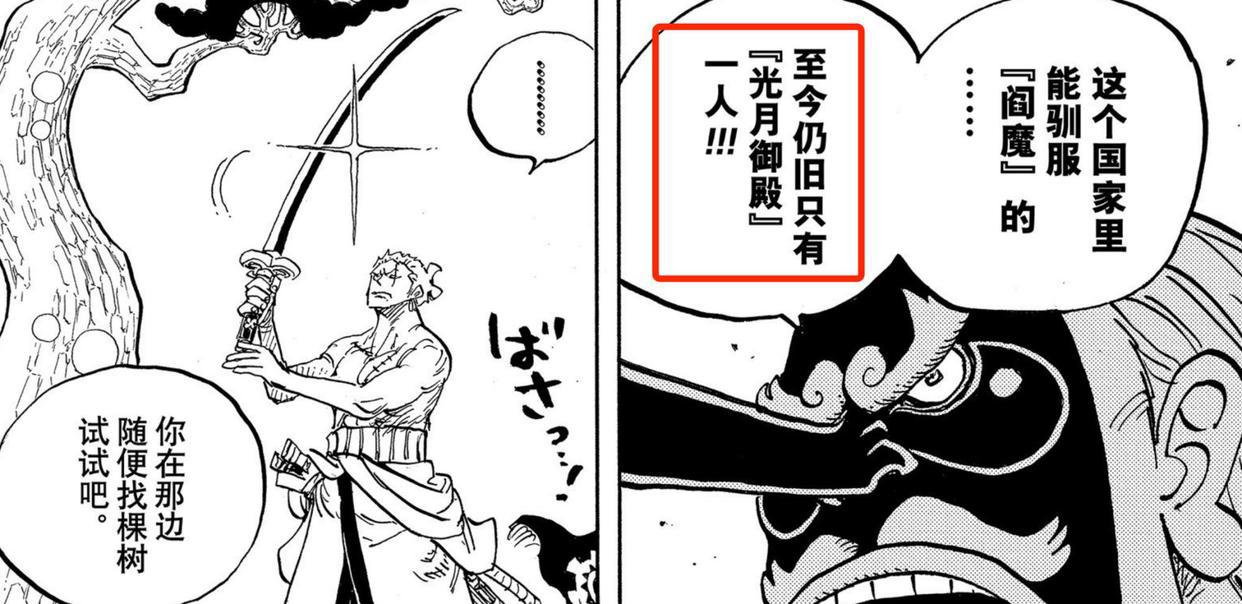 海贼王997话深度分析：索隆跟路飞一起斩杀凯多