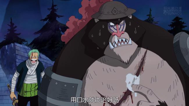 《海贼王》里最有“动物缘”的人是谁？当然是三刀流绿藻头了！