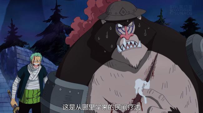 《海贼王》里最有“动物缘”的人是谁？当然是三刀流绿藻头了！