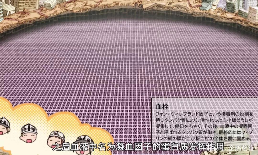 B站9.6分，这部被人民日报点赞表扬的科普动画为什么值得孩子看？