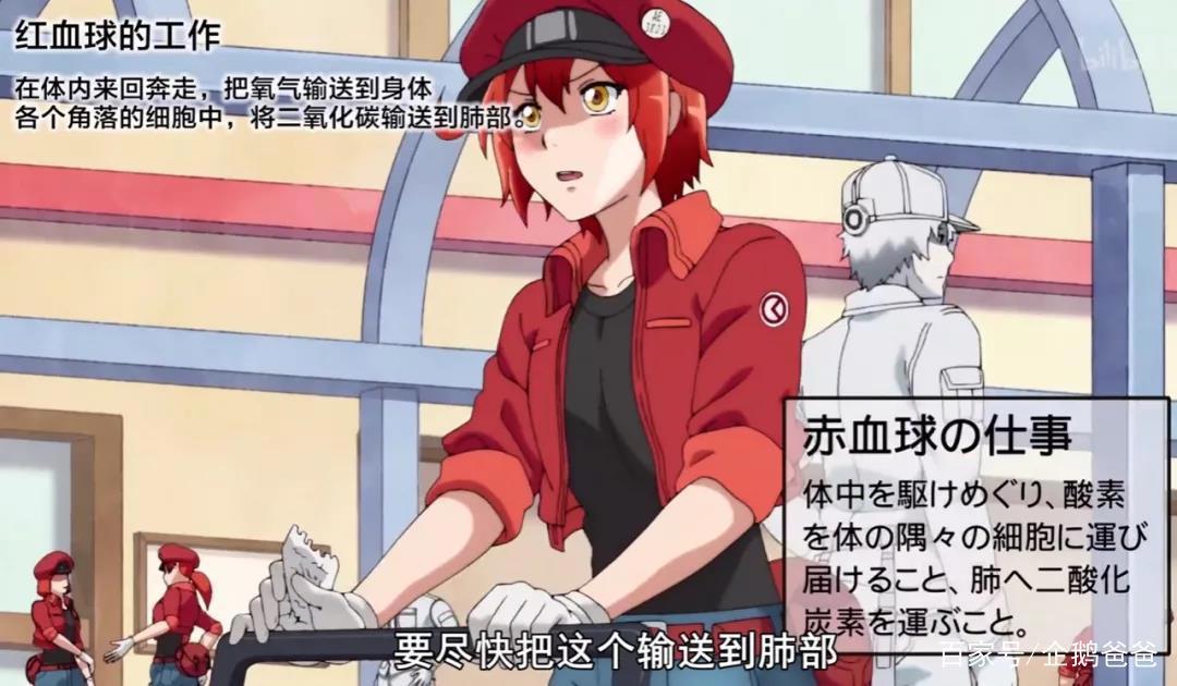 B站9.6分，这部被人民日报点赞表扬的科普动画为什么值得孩子看？