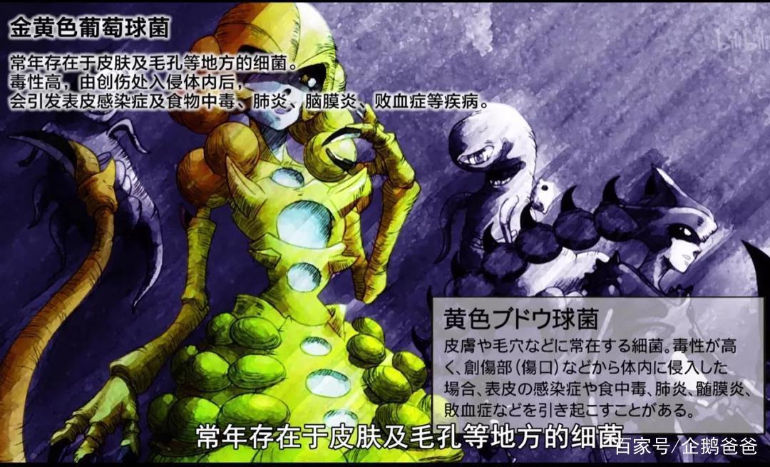 B站9.6分，这部被人民日报点赞表扬的科普动画为什么值得孩子看？