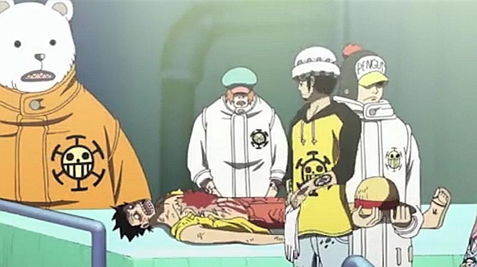 特拉法尔加“罗”的一生，充满了不幸，却有幸遇见了他和路飞