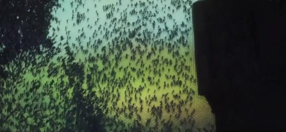 爱，死亡和机器人反转最大的一集，第一季第4集《战甲》剧情速通