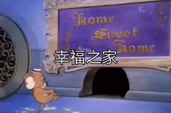 《猫和老鼠》因为这一集内容，再度成为网友热议的对象，让人泪目