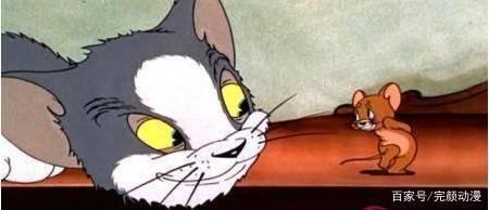 什么？猫和老鼠竟然有这么多个版本！网友：印象里只记得三种