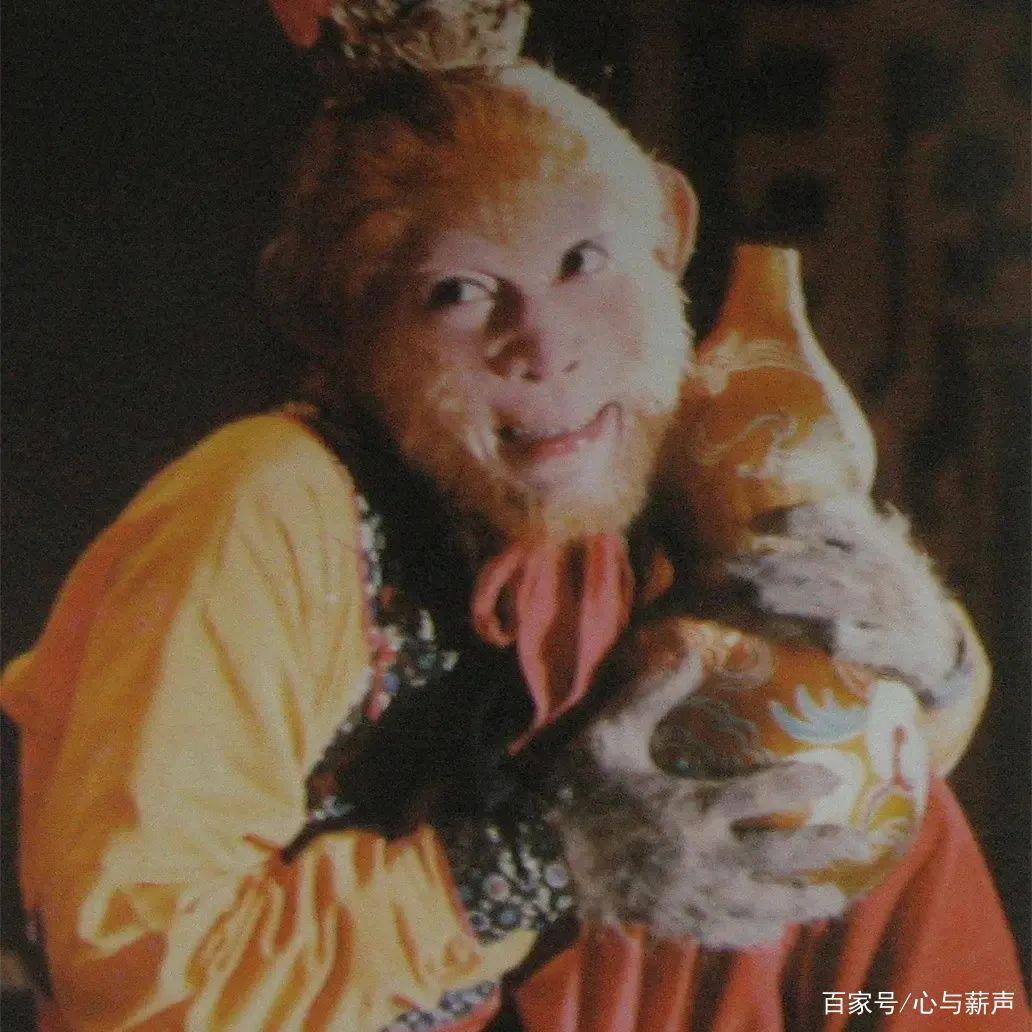 《西游记》回忆杀，你发现张涵予、董浩、金龟子了吗？