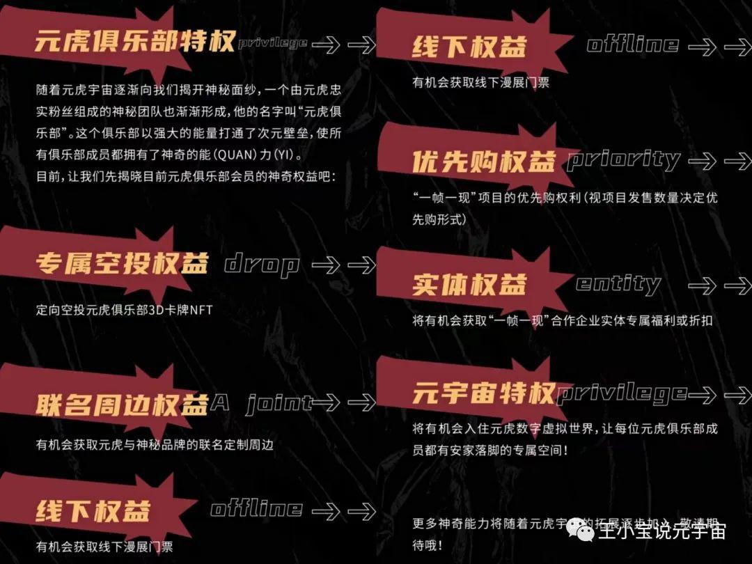 小宝说PFP头像版权品之「红洞元虎」