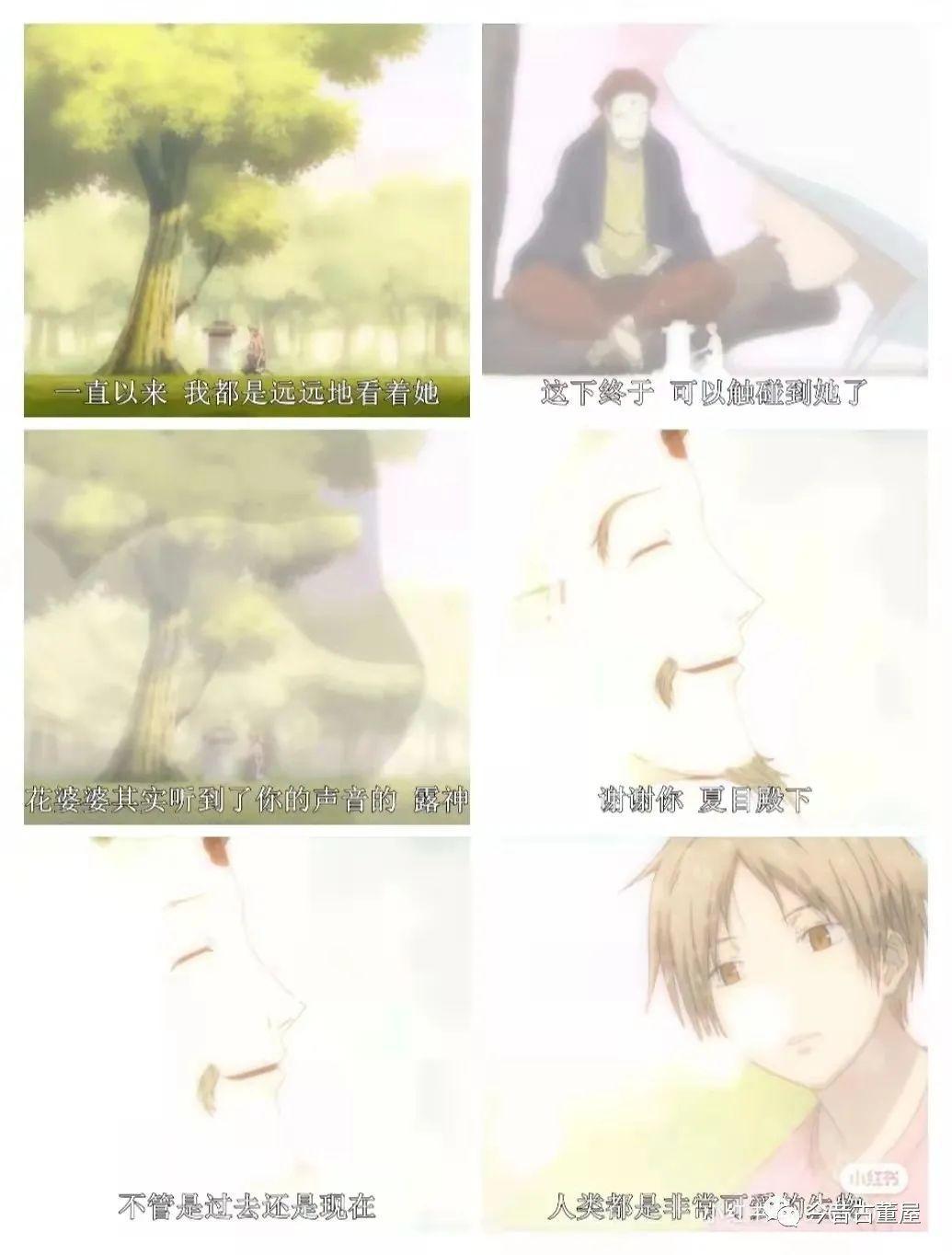 我摊牌了，我是二次元。此生无悔二次元，来生还做次元人！