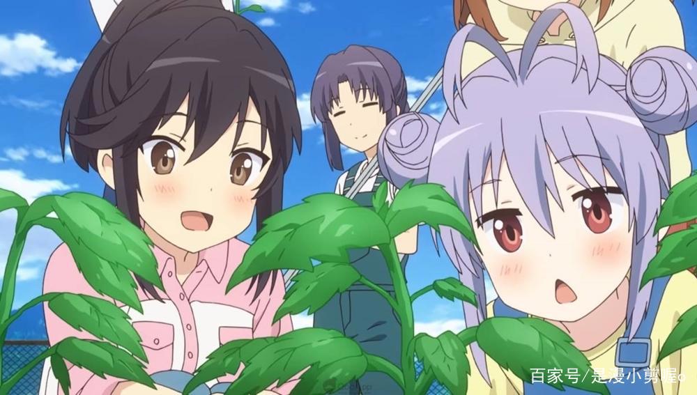 2021动漫整理好了！接上期文章！