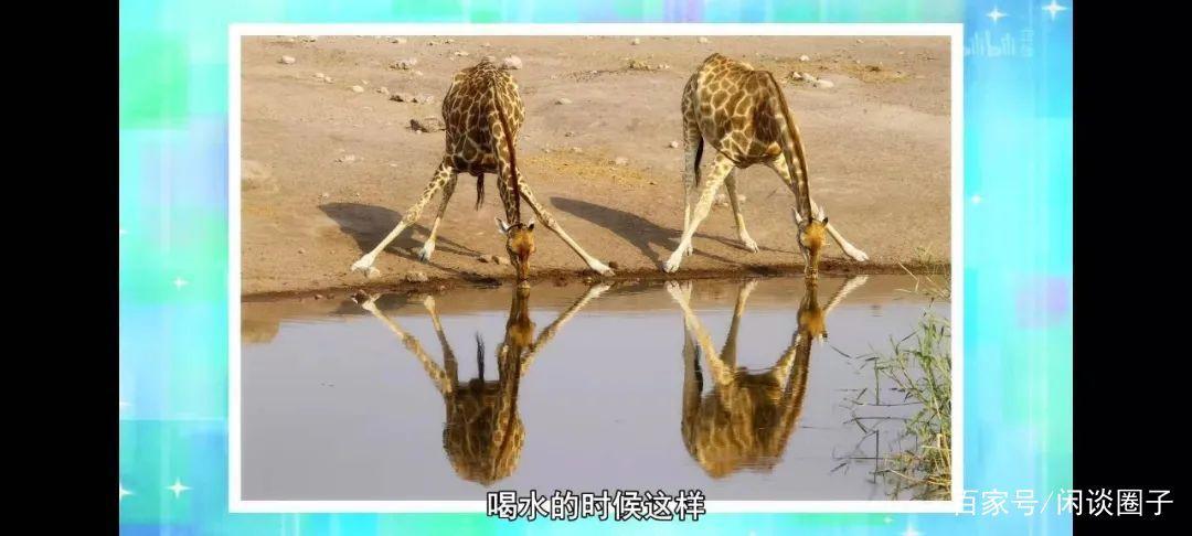 《无职转生》被下架，b站一月新番还有哪些值得一追呢？