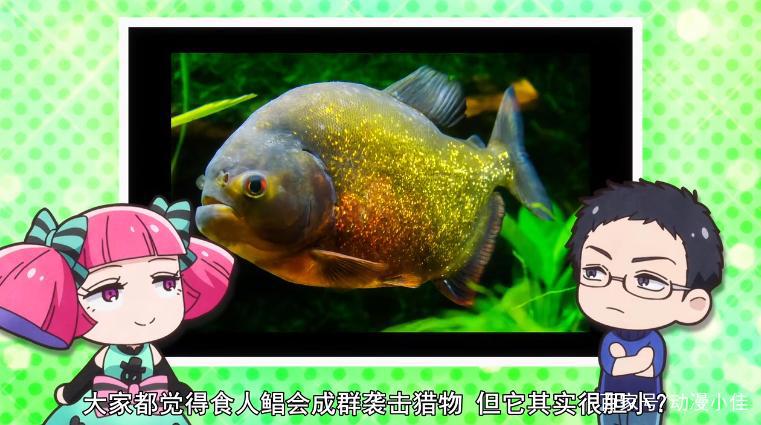 珍珠奶茶里有“毒”，地狱使魔是兔兔，下一话甲方爸爸露脸