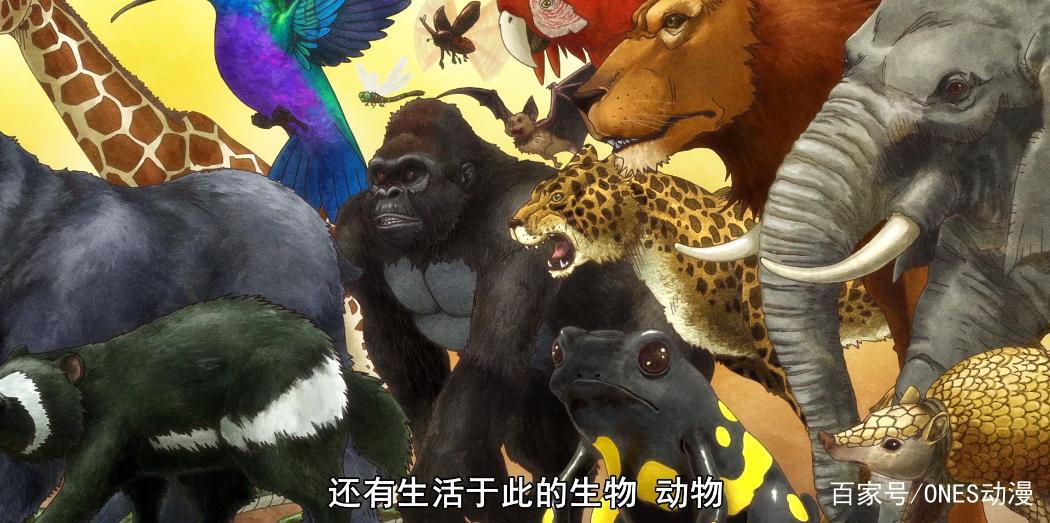 这是脑洞最大的一月新番，这样的新番真是充满惊喜！