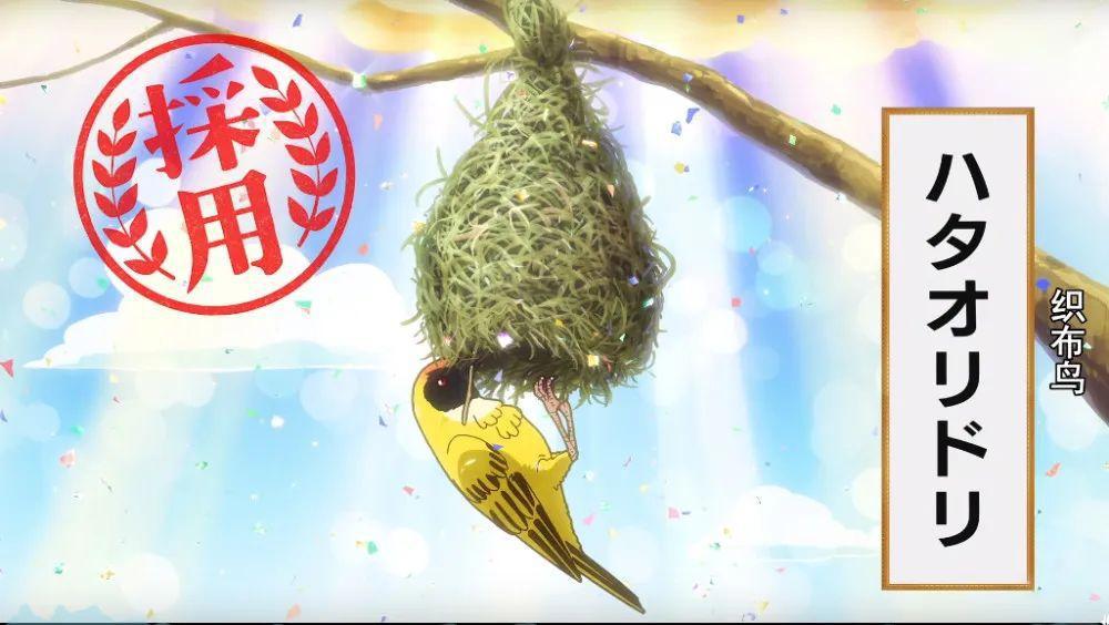 脑洞大开！抱歉，这部神作我推荐晚了