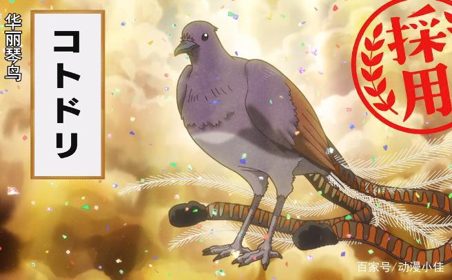 写作聚会读作加班，下田原型萌翻观众，甲方爸爸又提新要求