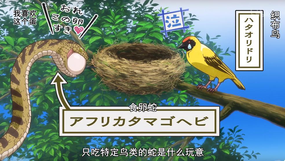 科普生物学，把马变成蛇，这部新番动漫有点秀！