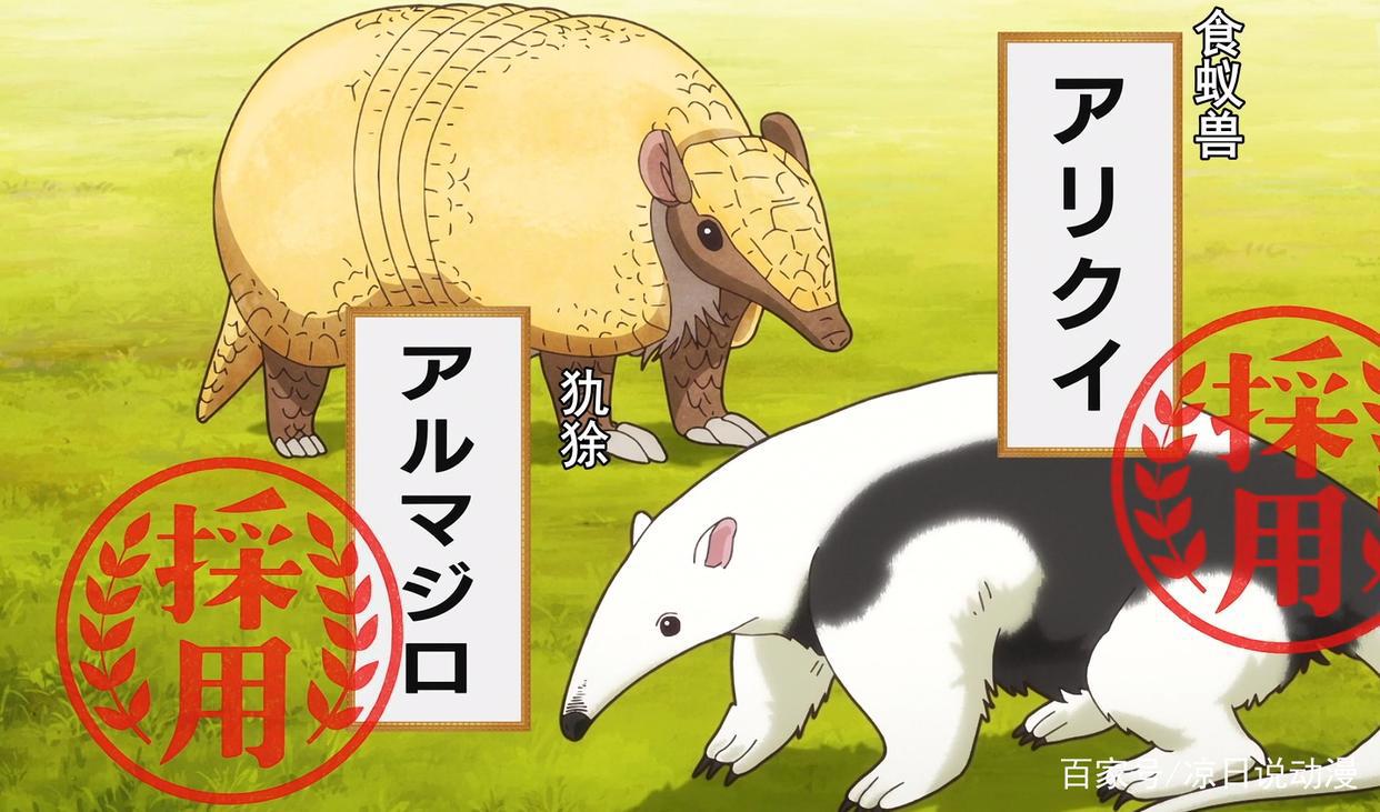 动物是怎样诞生的？神明创造天地后，把这项任务委托给了他们