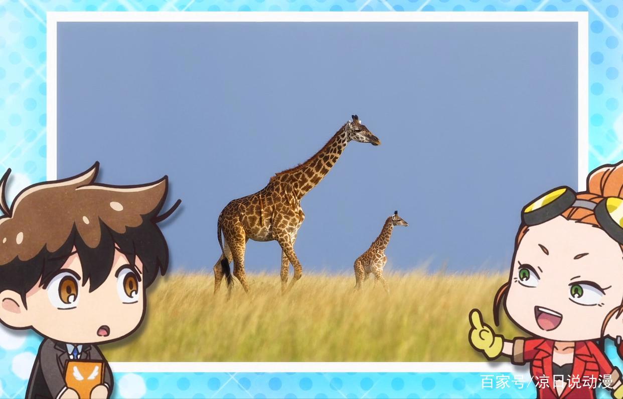 动物是怎样诞生的？神明创造天地后，把这项任务委托给了他们