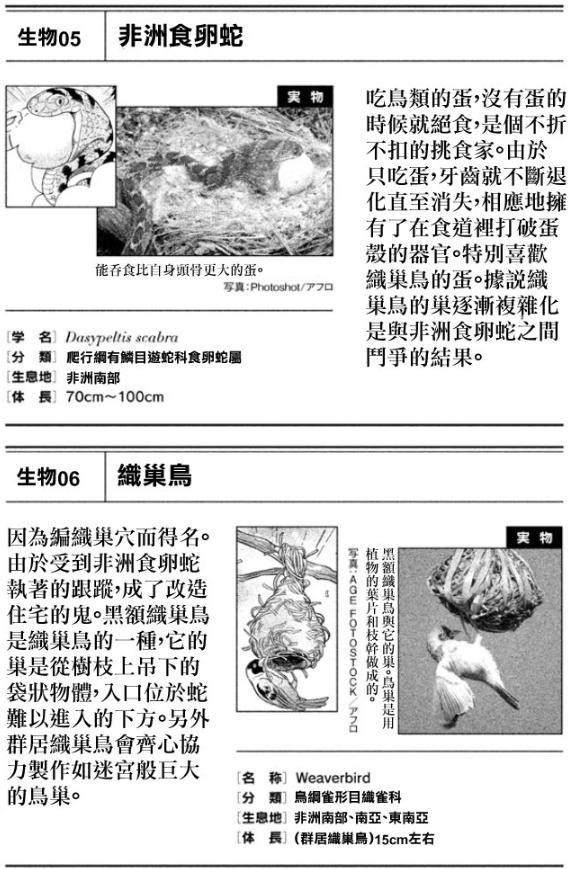 生物也能设计出来？科普漫画《天地创造设计部》动画化前瞻