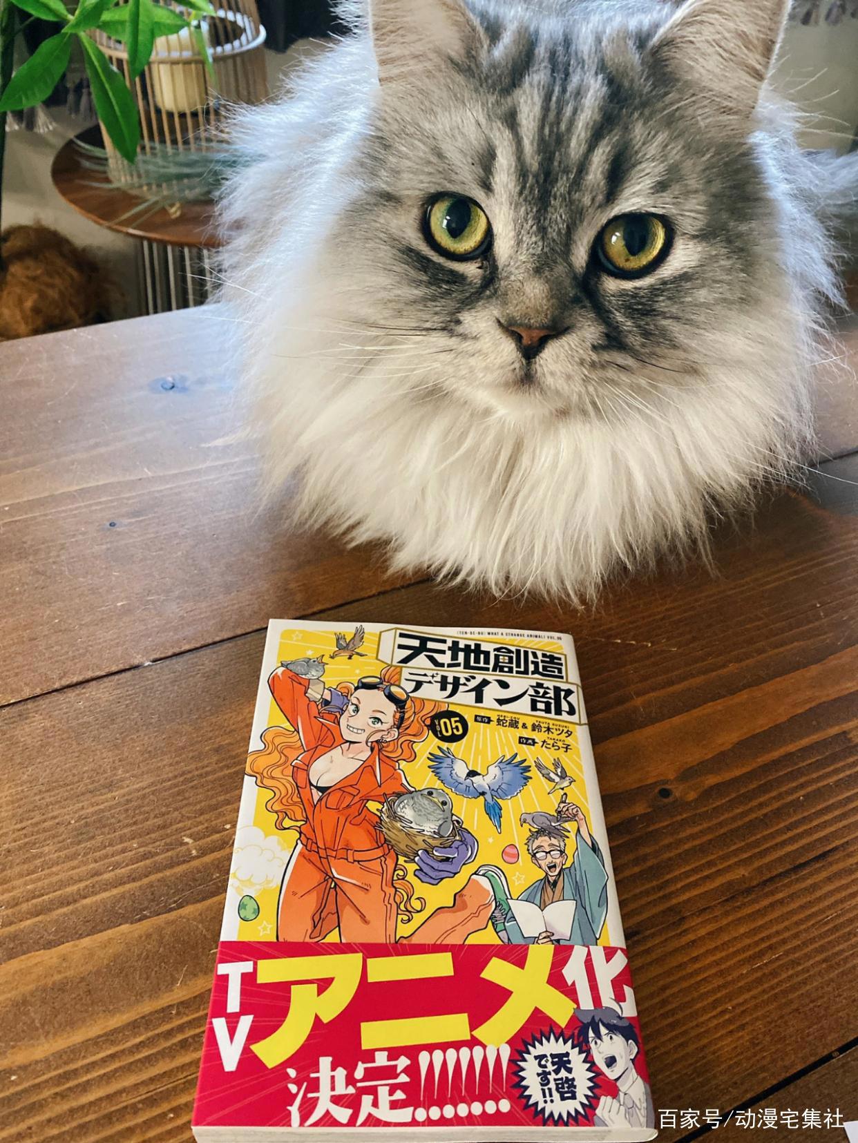 生物也能设计出来？科普漫画《天地创造设计部》动画化前瞻