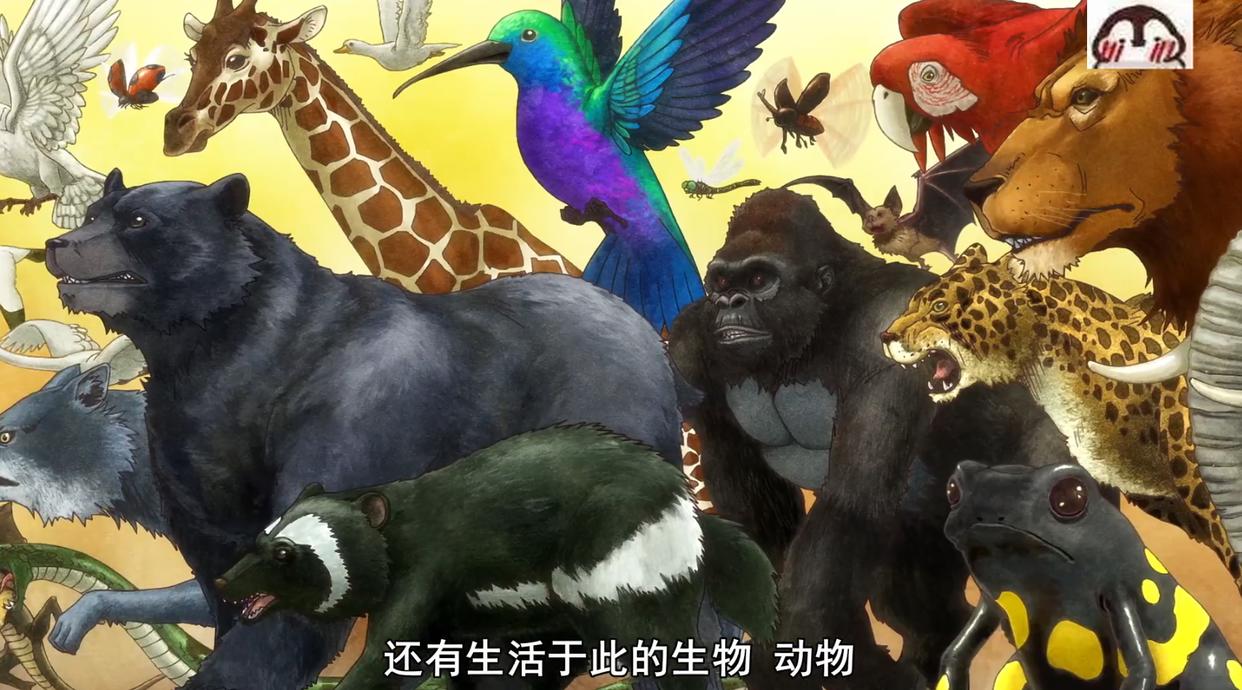 天地创造设计部：和工作细胞一样，寓教于乐的动画，趣味性十足