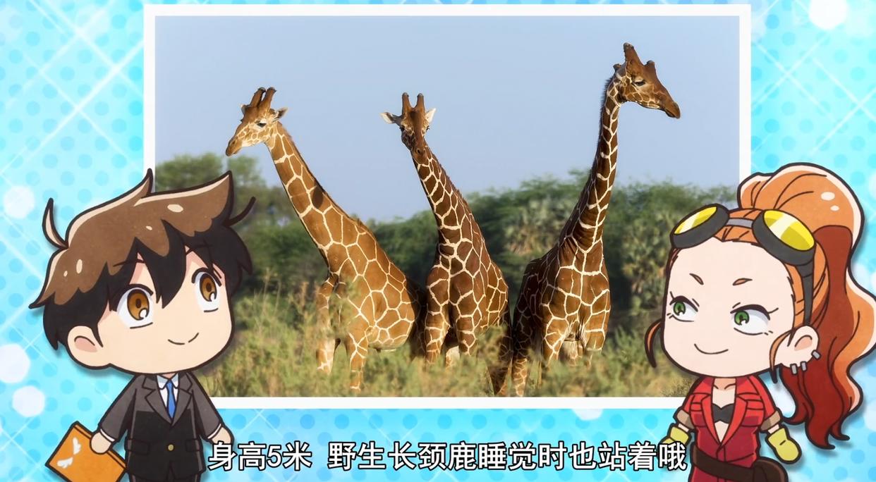 天地创造设计部：和工作细胞一样，寓教于乐的动画，趣味性十足