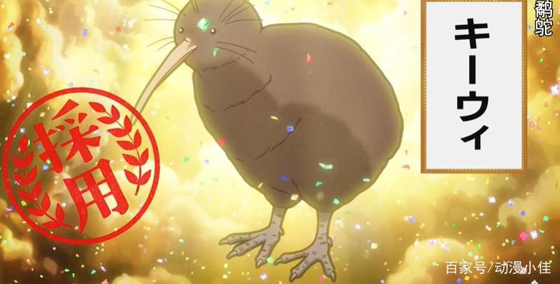 天地创造设计部完结撒花，这个科普番明明超有趣，却过分冷门