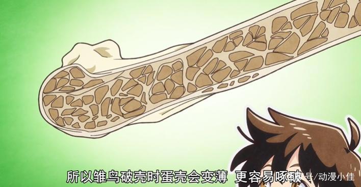 天地创造设计部完结撒花，这个科普番明明超有趣，却过分冷门