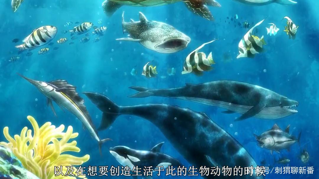 新番点评：天地创造设计部