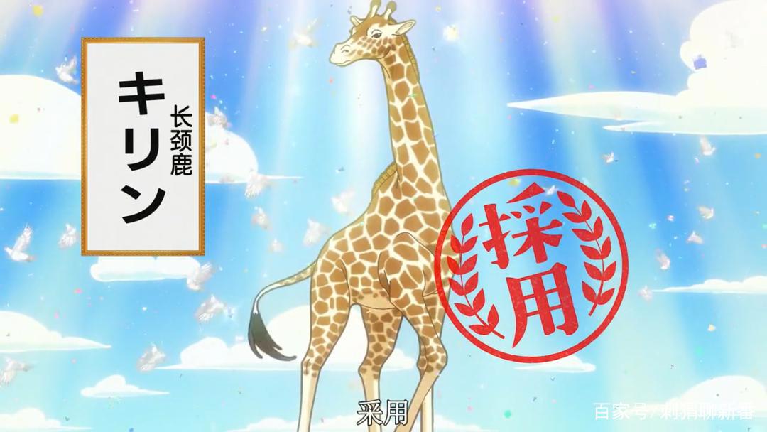 新番点评：天地创造设计部