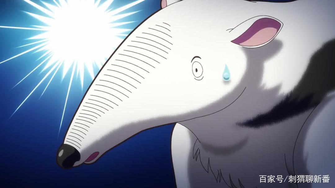 新番点评：天地创造设计部