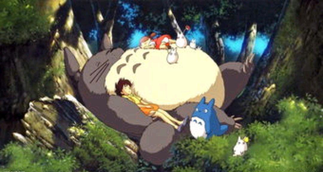 龙猫，梦想起飞的地方，空中童话王国