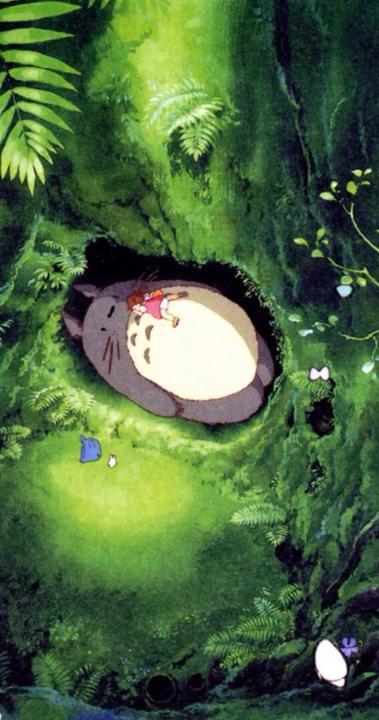 夏日童趣之《龙猫》