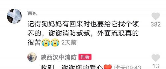 流浪狗妈妈带着宝宝去消防队，离开时忍痛“离开”三只小奶狗！