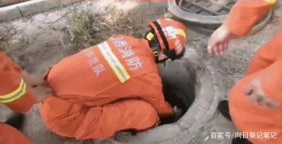 流浪狗妈妈带着宝宝去消防队，离开时忍痛“离开”三只小奶狗！